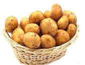营养师指出孕妇常吃土豆可缓解孕吐