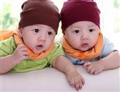 双胞胎应如何哺乳才最健康？
