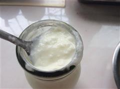 家常自制双歧杆菌酸奶简单做法步骤