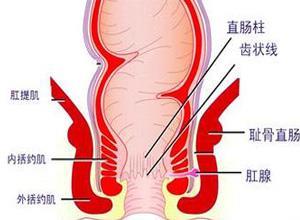 肛窦炎