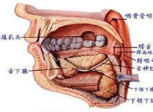 颌面部淋巴管瘤