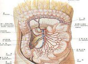肠系膜上动脉综合征