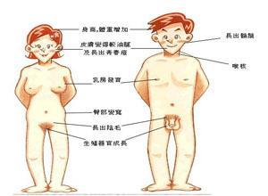 青春发育延迟及性幼稚