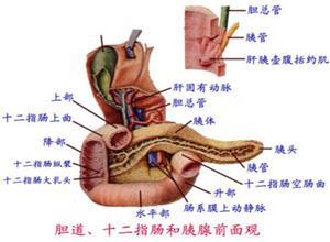 阿米巴结肠炎