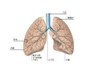 消散延迟性肺炎