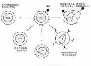 吞噬功能缺陷病