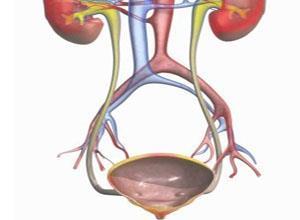 小儿动脉肝脏发育异常综合征