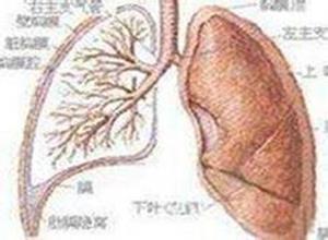 支气管中心性肉芽肿病