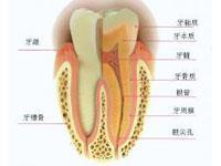 慢性根尖牙周炎