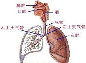 老年性哮喘