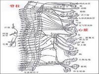 交感神经型颈椎病