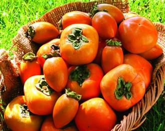 柿子能和鸡蛋一起吃吗/同吃_柿子和鸡蛋相克吗