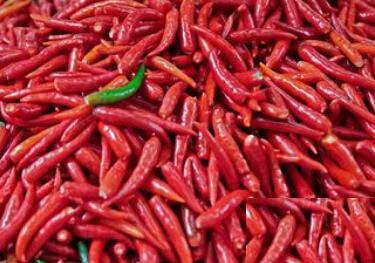 辣椒可阻止减缓癌细胞的生长