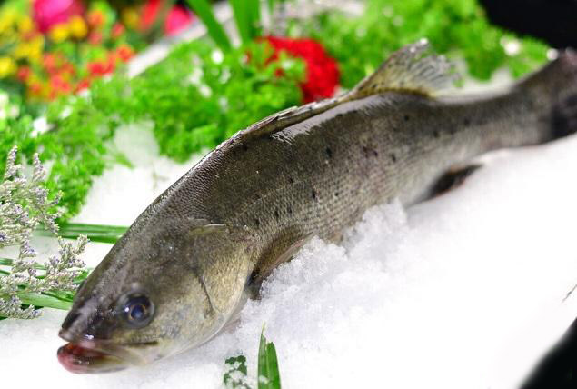 鲈鱼五味子汤可促进肝细胞的修复