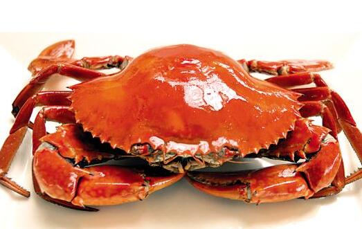 关于吃蟹的6个疑问腹泻的人可吃蟹先喝粗粮粥