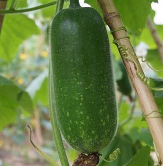 美食防毒三步走