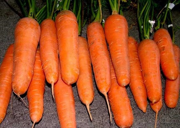 胡萝卜如何挑选更营养？