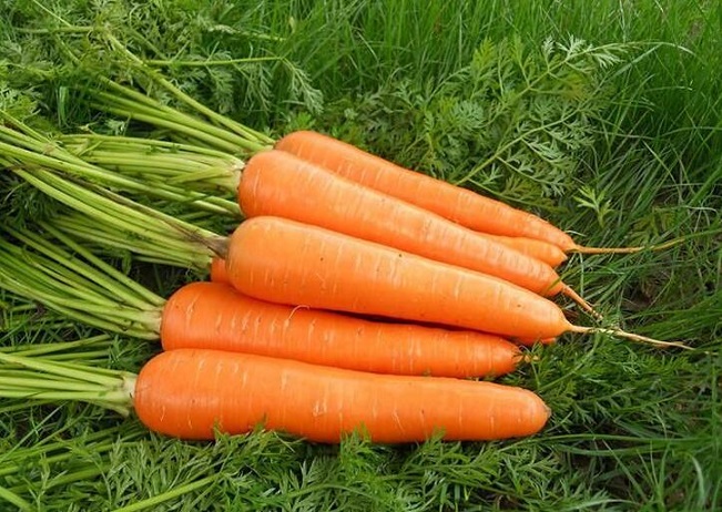 上班族的7种最佳养胃食物卷心菜红薯胡萝卜
