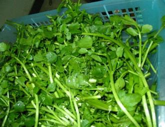 8种食物美容小偏方改善外貌