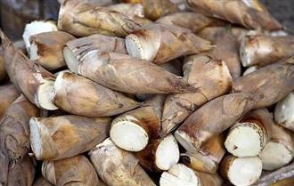 改变一点点创造新佳肴 改变一点点创造新佳肴