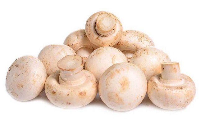 多吃口蘑可以预防骨质疏松