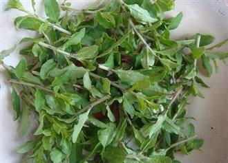 老人“热气”多属虚证