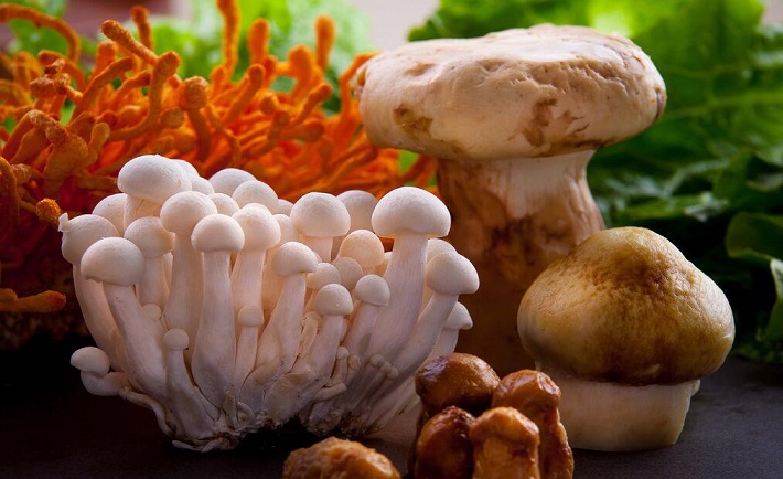 12款菌菇菜肴清淡爽口营养好丰富