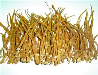 干笋能和圆白菜一起吃吗_干笋和圆白菜可以一起吃吗/同吃