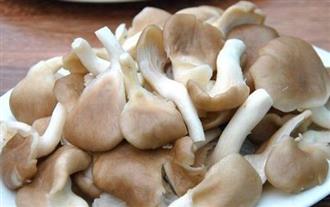 最适合产后妈妈喝三种汤