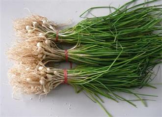 痛经吃什么好？十大粥疗食谱让你摆脱经痛