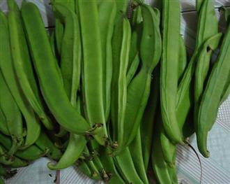 天然食物营养最丰富