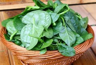 13种最有效营养瘦身食谱