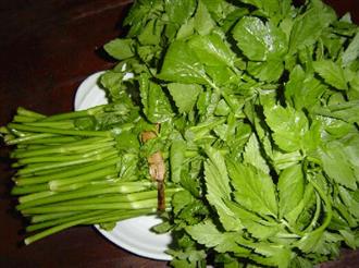 水芹菜能和黄豆一起吃吗/同吃_水芹菜和黄豆相克吗