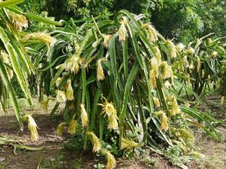 推荐美丽女人对症喝汤