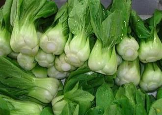 油菜能和豆腐一起吃吗_油菜和豆腐可以一起吃吗/同吃