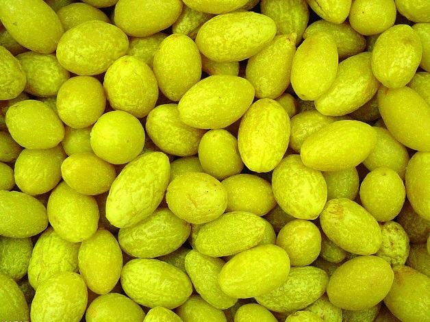 橄榄的药用功效和橄榄的营养成分