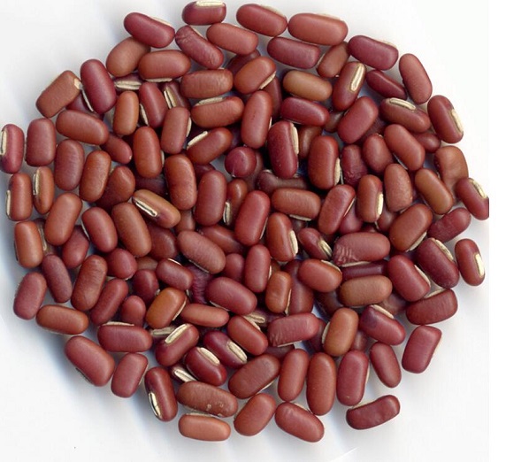 赤小豆苡米粥可治慢性肾炎
