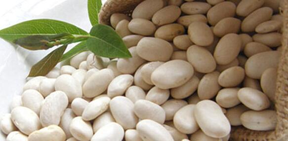 白芸豆及营养分析 白芸豆需要泡多久?