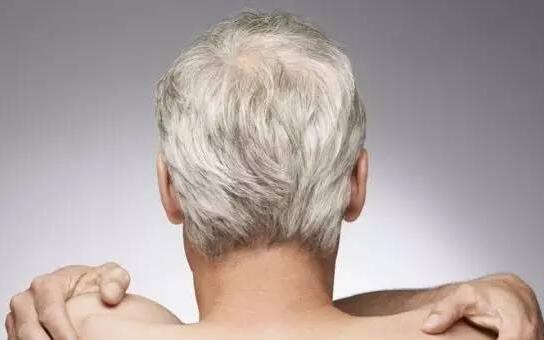 白发的位置能直接对应身体毛病区域