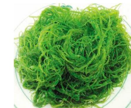 常吃海带海藻可以降血脂减肥