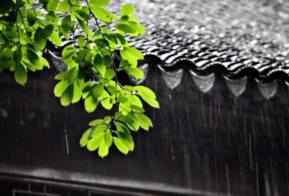 梅雨季节养生调理注意事项