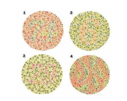 色盲在男人中更普遍？