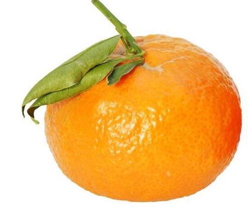 餐前吃个橘子有效提升饱腹感