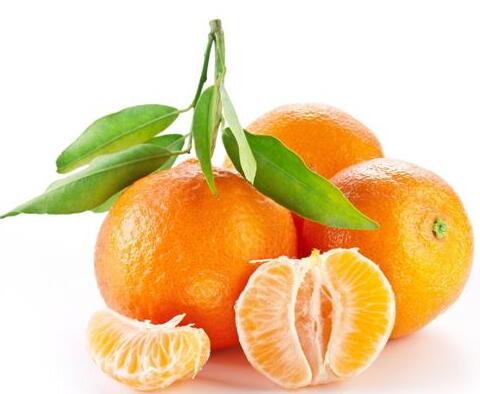 1个橘子5味药橘肉开胃理气