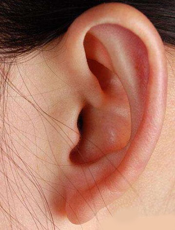 看耳朵知疾病：耳朵薄小多为肾气亏虚