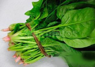 菠菜能和虾皮一起吃吗/同吃_菠菜和虾皮相克吗