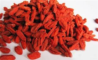 吃枸杞有什么好处