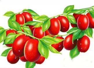 力乐多丝路红玉新疆贡枣能和螃蟹一起吃吗/同吃_力乐多丝路红玉新疆贡枣和螃蟹相克吗