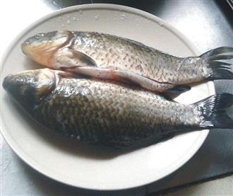 鲫鱼能和红豆一起吃吗_鲫鱼和红豆可以一起吃吗/同吃 鲫鱼能和红豆一起吃吗_鲫鱼和红豆可以一起吃吗/同吃