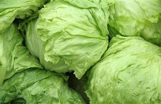 西生菜能和鸡蛋一起吃吗_西生菜和鸡蛋可以一起吃吗/同吃